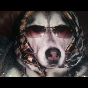 Meet your Posher, Stacia